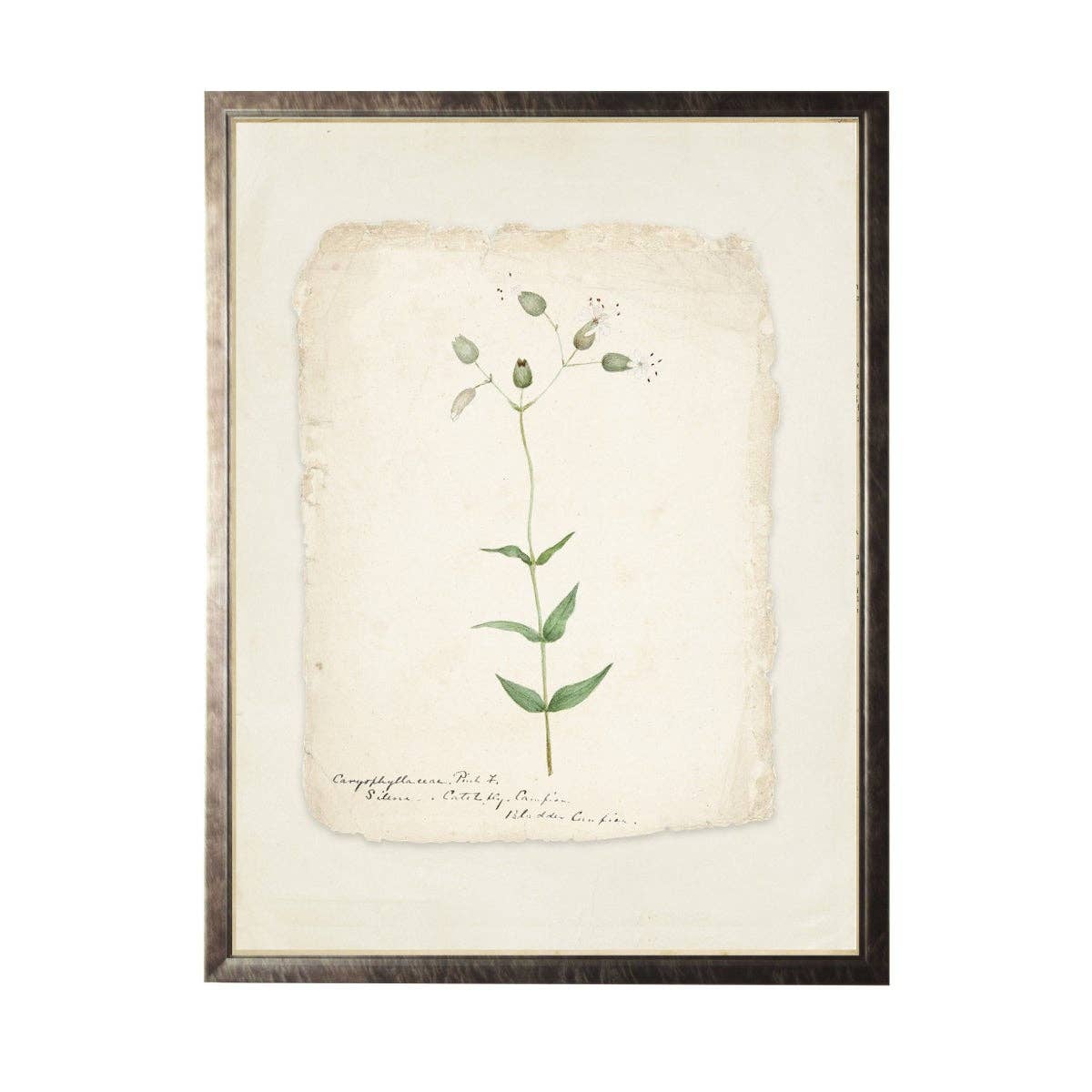 Vintage Flower Painting On Torn Paper Background