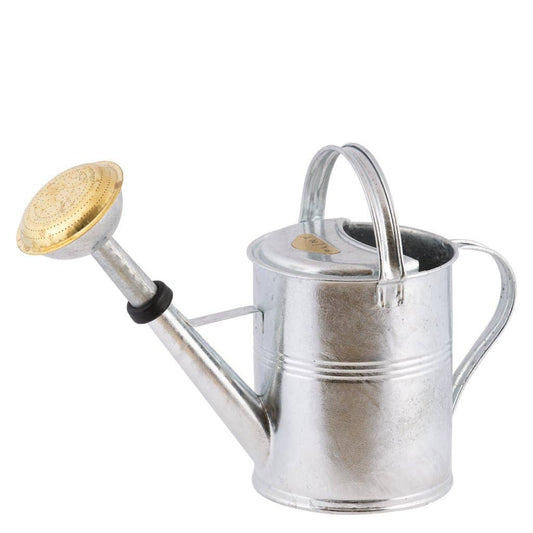 Jenny's Watering Can - Zinc