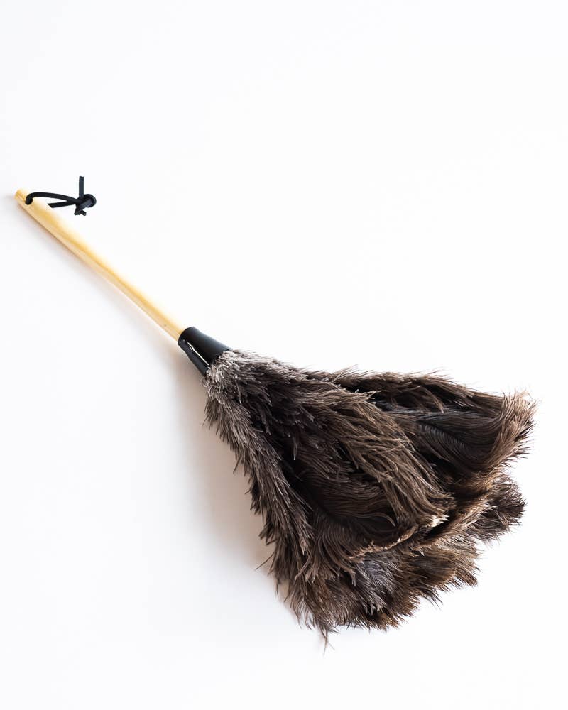 The Feather Duster