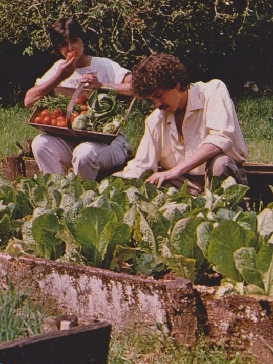 Home Grown Candle - Sample