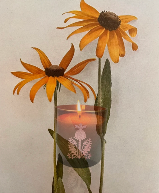 Orchard Sun Candle - Sample