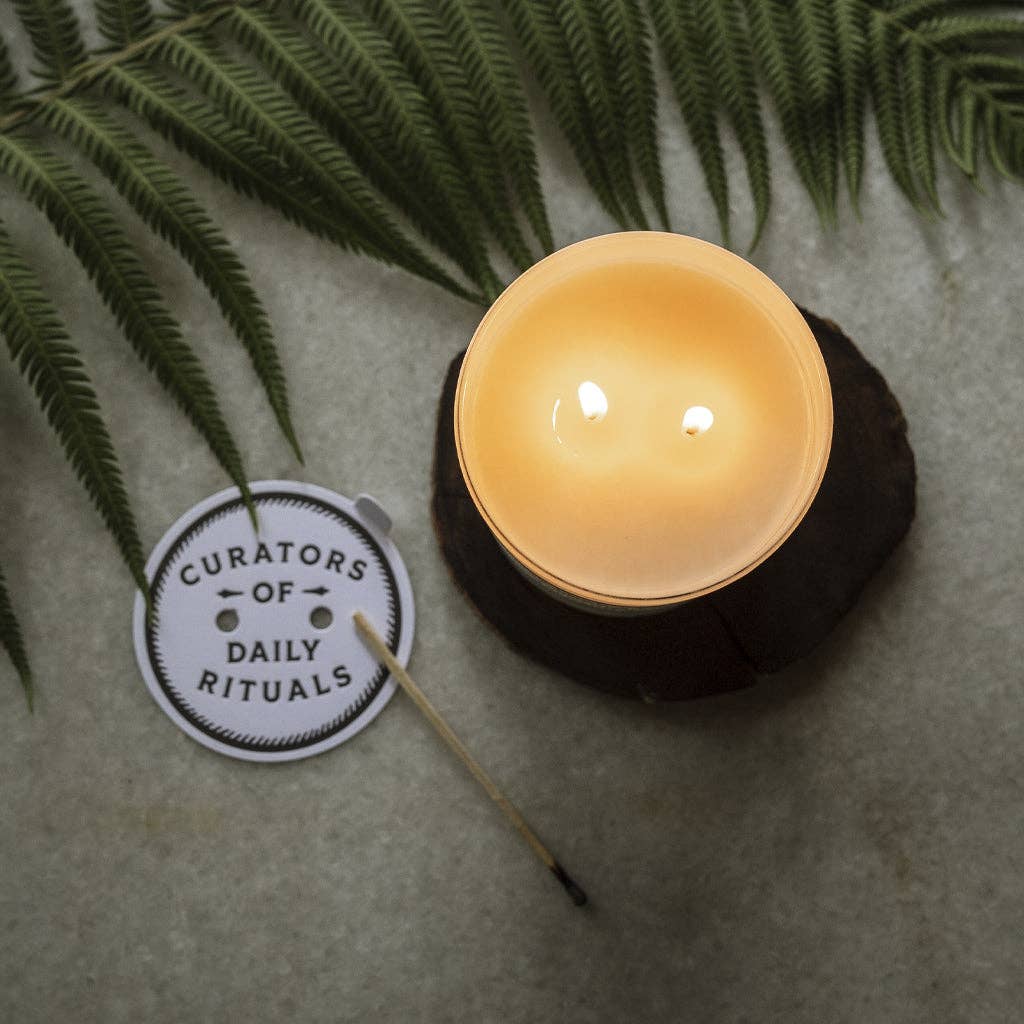 Blueberry + Vanilla Bean Candle (Daily Rituals Collection)